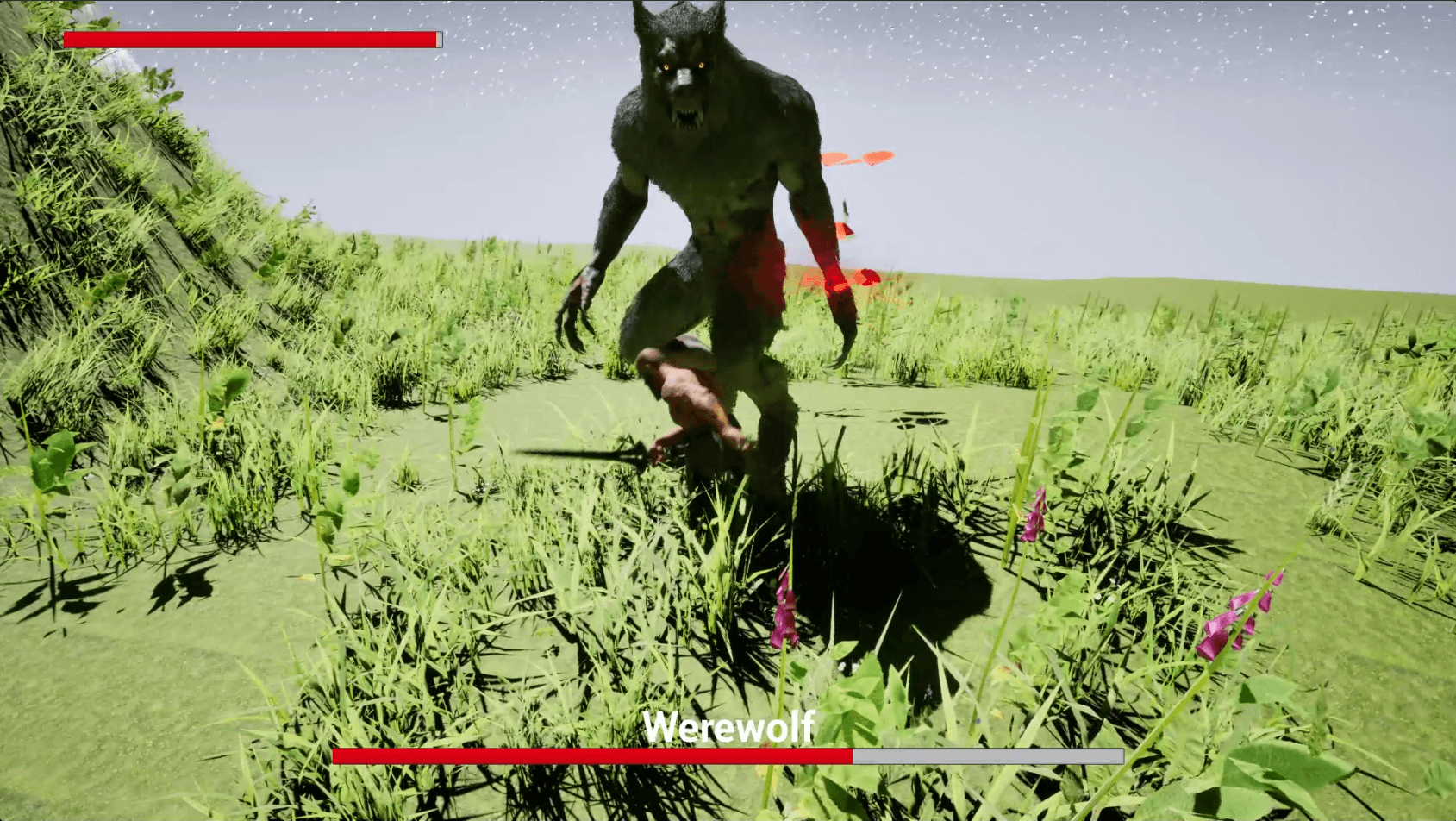 The Werewolf boss encounter at night: the knight facing the werewolf, with the named enemy health bar across the top of the screen.